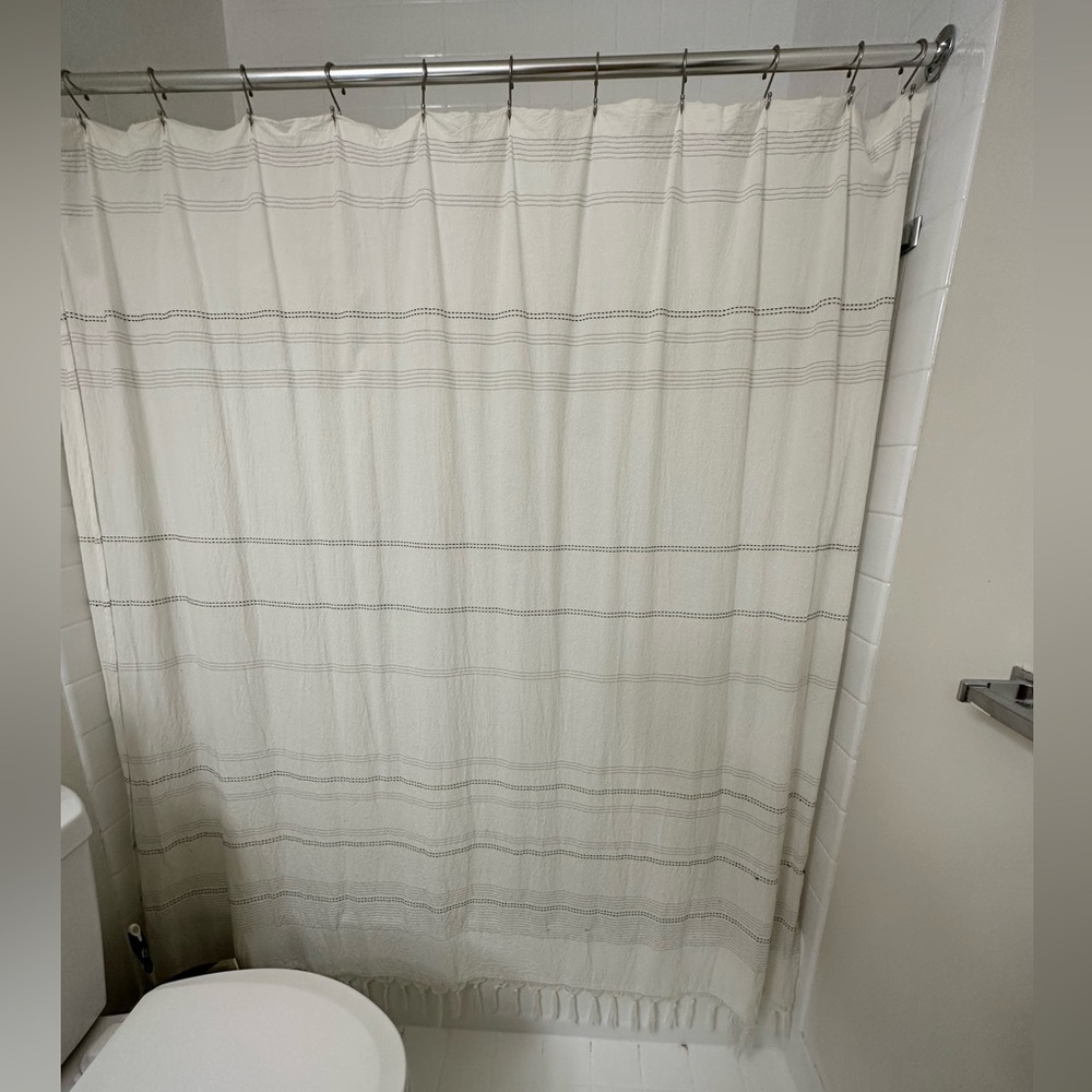 Shower curtain with hooks